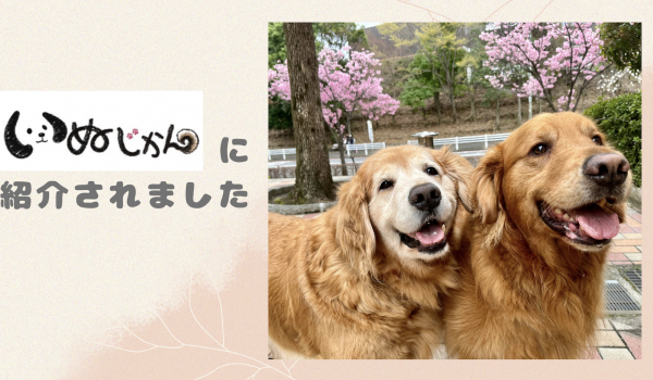「いぬじかん」に紹介されました！