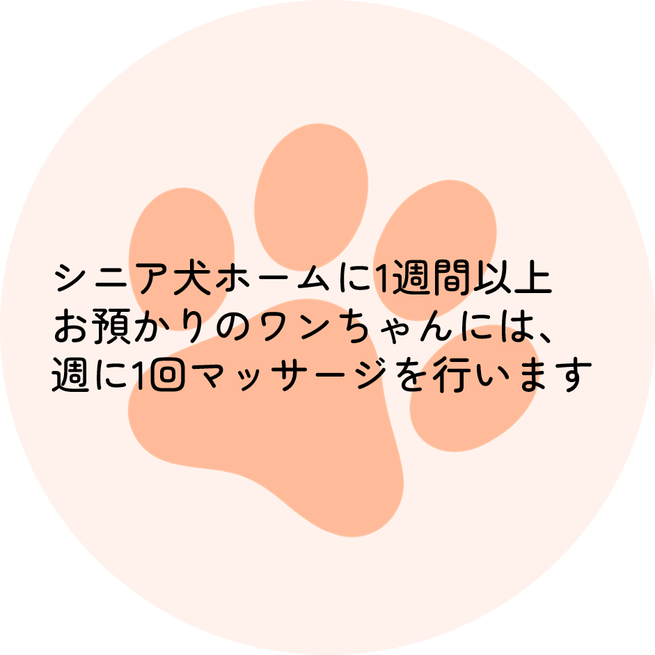 装飾アイコン