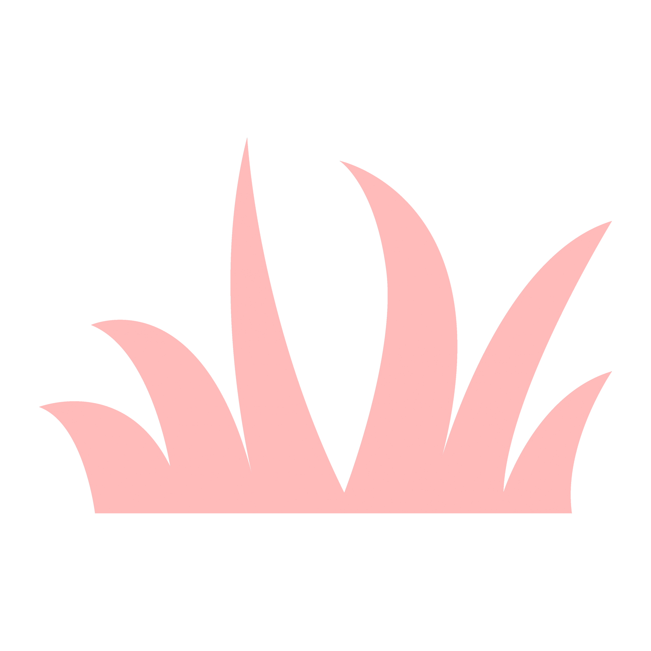 貸し切りドッグラン併設
